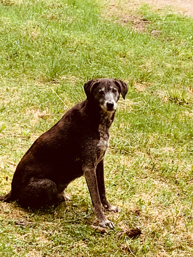 Kleintierpraxis Tann unter Tann, Bayern