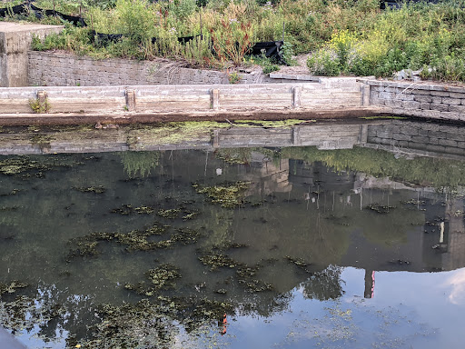 Tourist Attraction «Stone Arch Bridge», reviews and photos, 100 Portland Ave, Minneapolis, MN 55401, USA