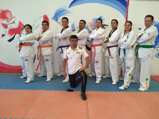 Área de competición de Tae Kwon Do Cuautitlán Izcalli