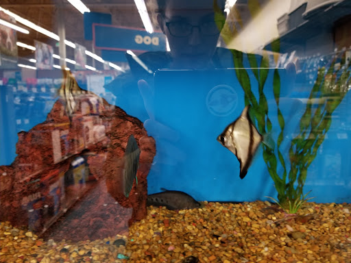Pet Supply Store «Petco Animal Supplies», reviews and photos, 22000 Dulles Retail Plaza #110, Sterling, VA 20166, USA