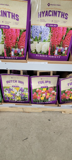 Shoe Store «Shoe Carnival», reviews and photos, 2105 N Prospect Ave, Champaign, IL 61822, USA