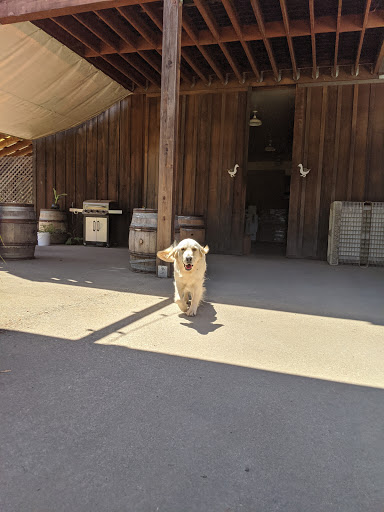 Winery «Toulouse Vineyards & Winery», reviews and photos, 8001 CA-128, Philo, CA 95466, USA