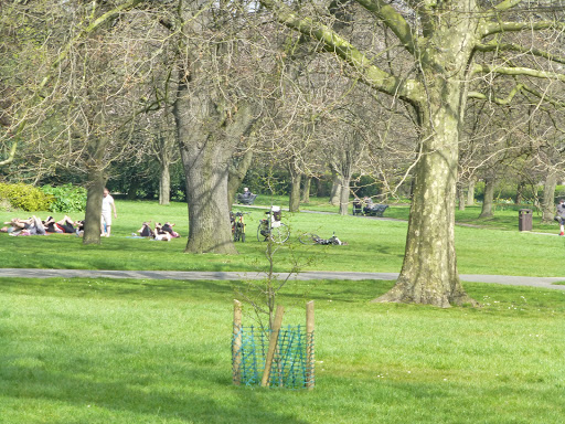 The Regent's Park