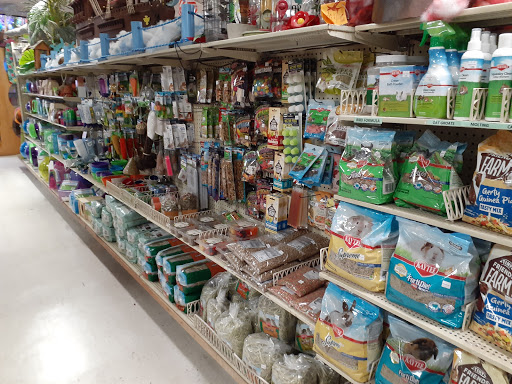 Pet Store «Forever Pets Inc», reviews and photos, 1030 Basse Rd, San Antonio, TX 78212, USA