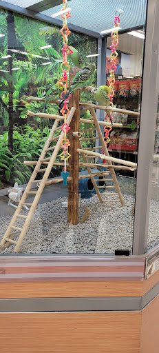 Pet Supply Store «Petco Animal Supplies», reviews and photos, 3680 Spencer Hwy, Pasadena, TX 77504, USA