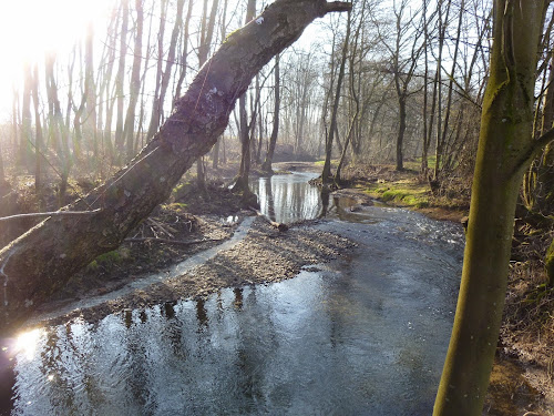 EPAGE-LARGUE à Altenach