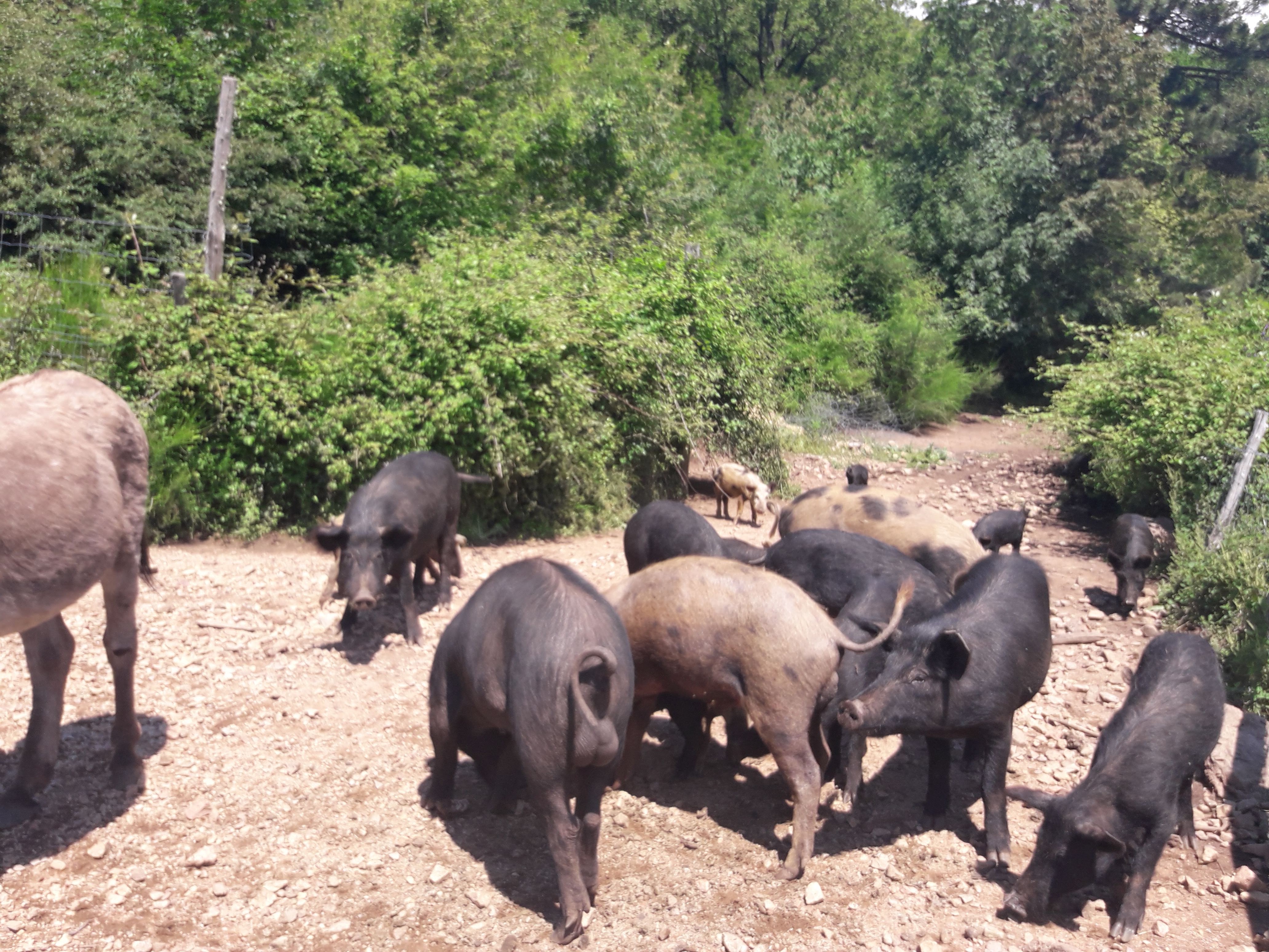 Photo n° 3 de l'avis de Josette.u fait le 21/06/2018 à 16:23