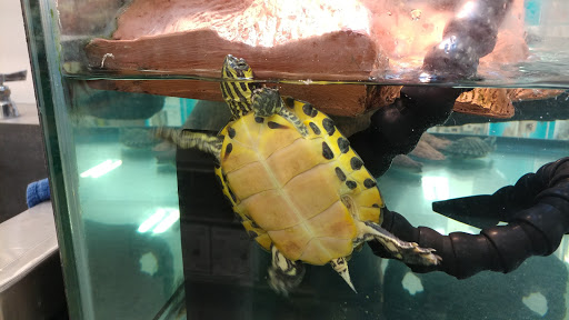 Pet Supply Store «Petco Animal Supplies», reviews and photos, 1203 SE Everett Mall Way f, Everett, WA 98208, USA