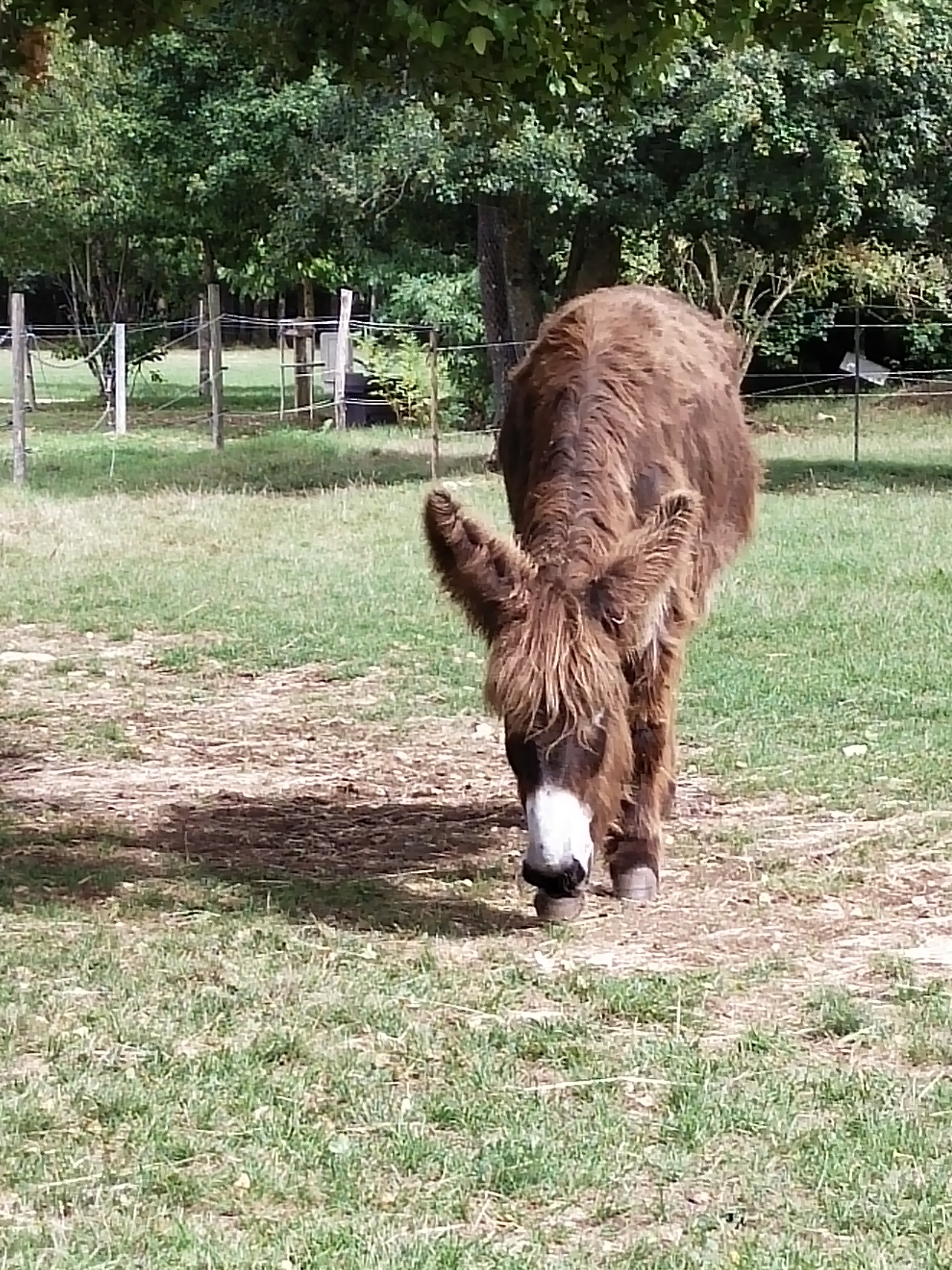 Photo n° 1 de l'avis de valerie.a fait le 18/09/2021 à 14:18