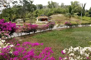 Sungai Basong Recreational Park image
