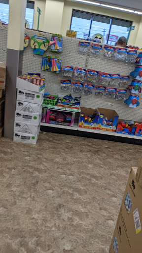 Dollar Store «Dollar Tree», reviews and photos, 10581 Springfield Pike, Woodlawn, OH 45215, USA