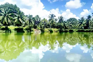 Neerulli Palem Lake image