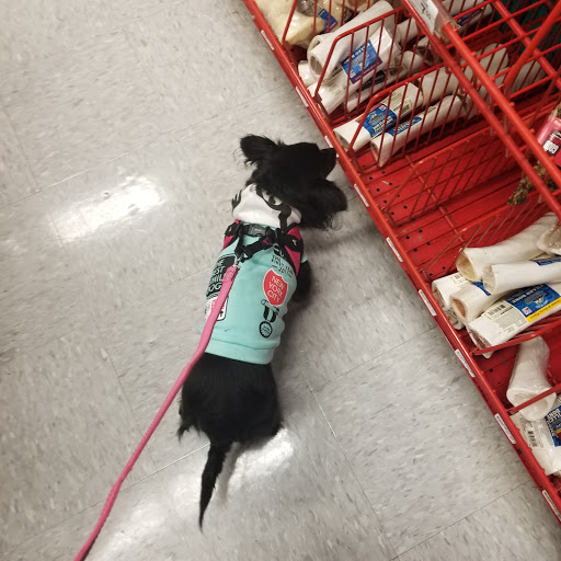 Pet Supply Store «Petco Animal Supplies», reviews and photos, 8909 Branch Ave d, Clinton, MD 20735, USA