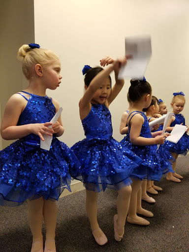 Performing Arts Theater «Buffalo Grove Park District Community Arts Center», reviews and photos, 225 McHenry Rd, Buffalo Grove, IL 60089, USA