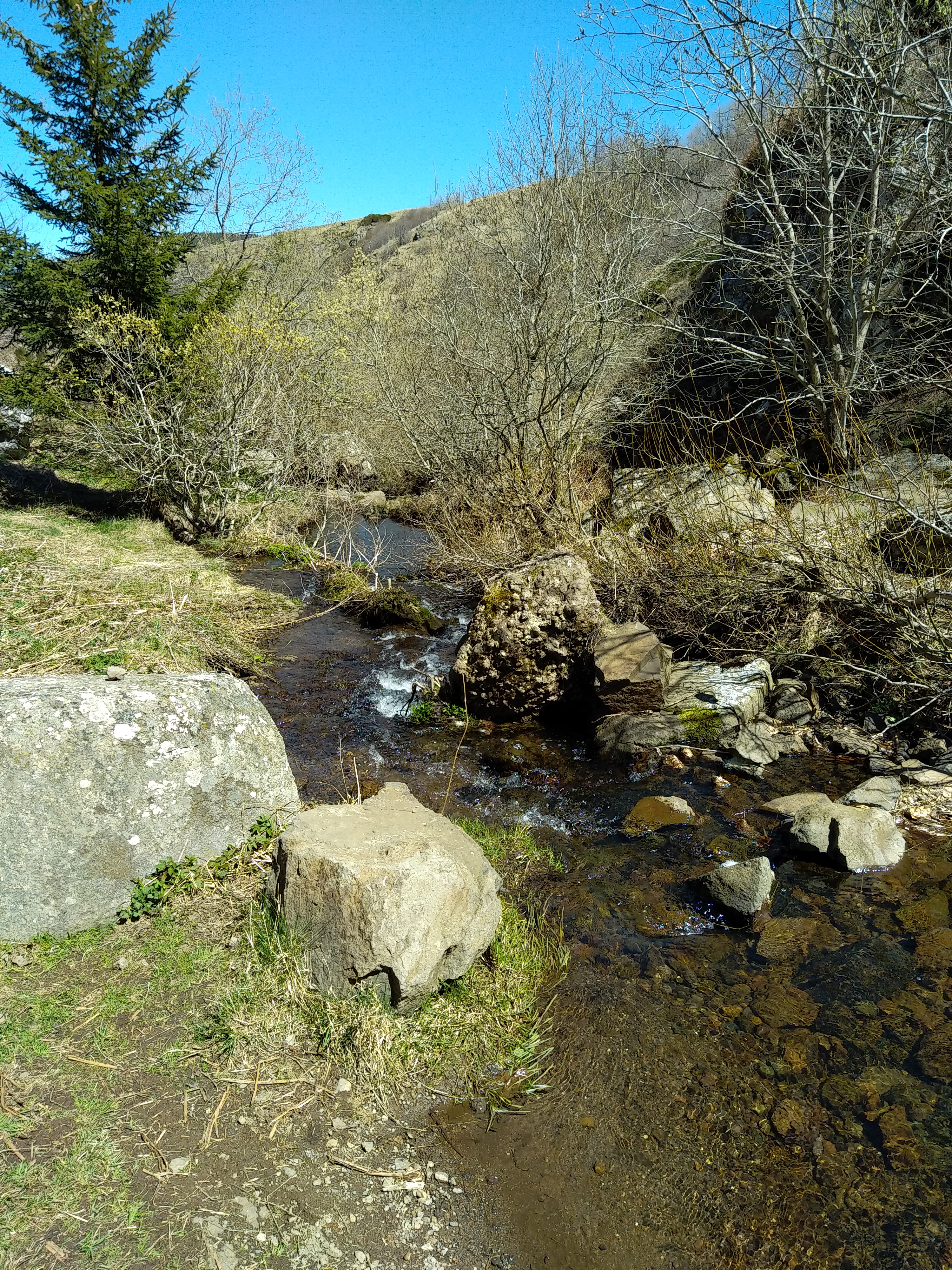 Photo n° 4 de l'avis de Julien.a fait le 17/04/2022 à 17:15