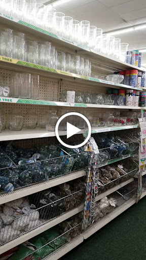 Dollar Store «Dollar Tree», reviews and photos, 100 Northeast Ave, North East, MD 21901, USA
