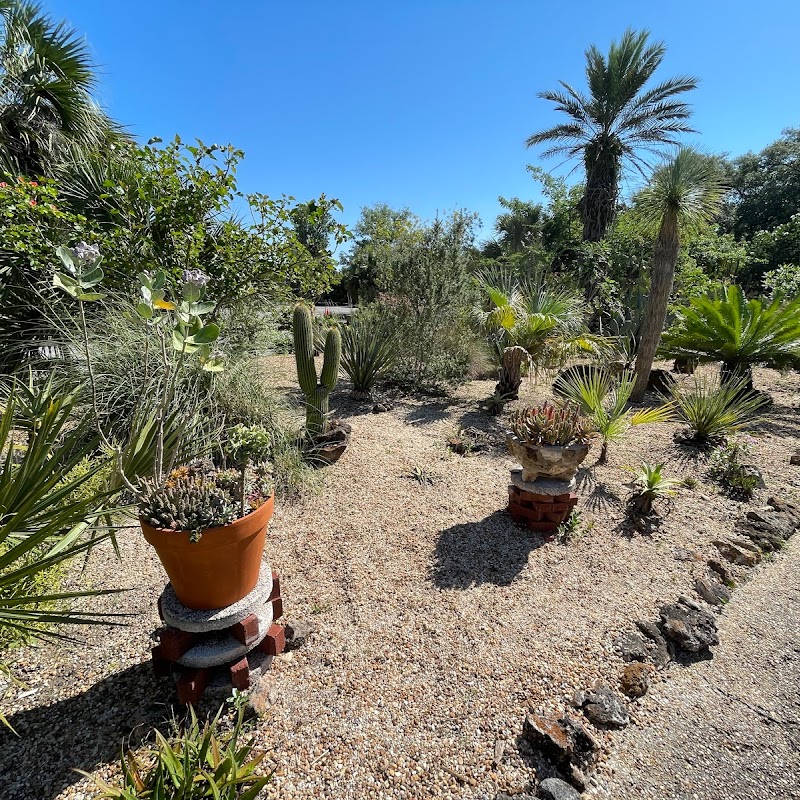 Arid Garden