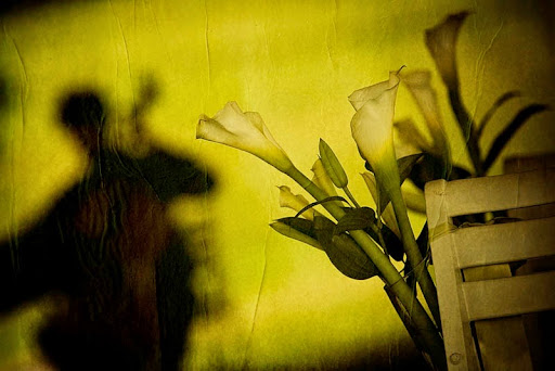 Wedding Planner «Shay Brown Events - The Southern Wedding Experience», reviews and photos, 80 Broadway, Asheville, NC 28801, USA