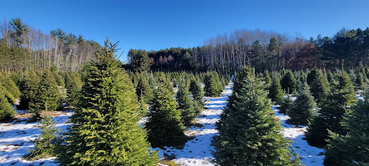 J&R Christmas Trees