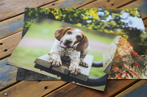 Photo Lab «Nations Photo Lab», reviews and photos, 11103 Pepper Rd, Cockeysville, MD 21030, USA