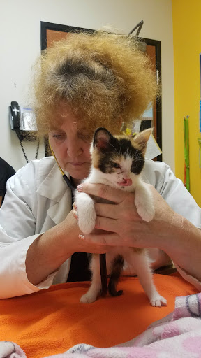 Pet Supply Store «PetSmart», reviews and photos, 2389 Taylor Park Dr, Reynoldsburg, OH 43068, USA