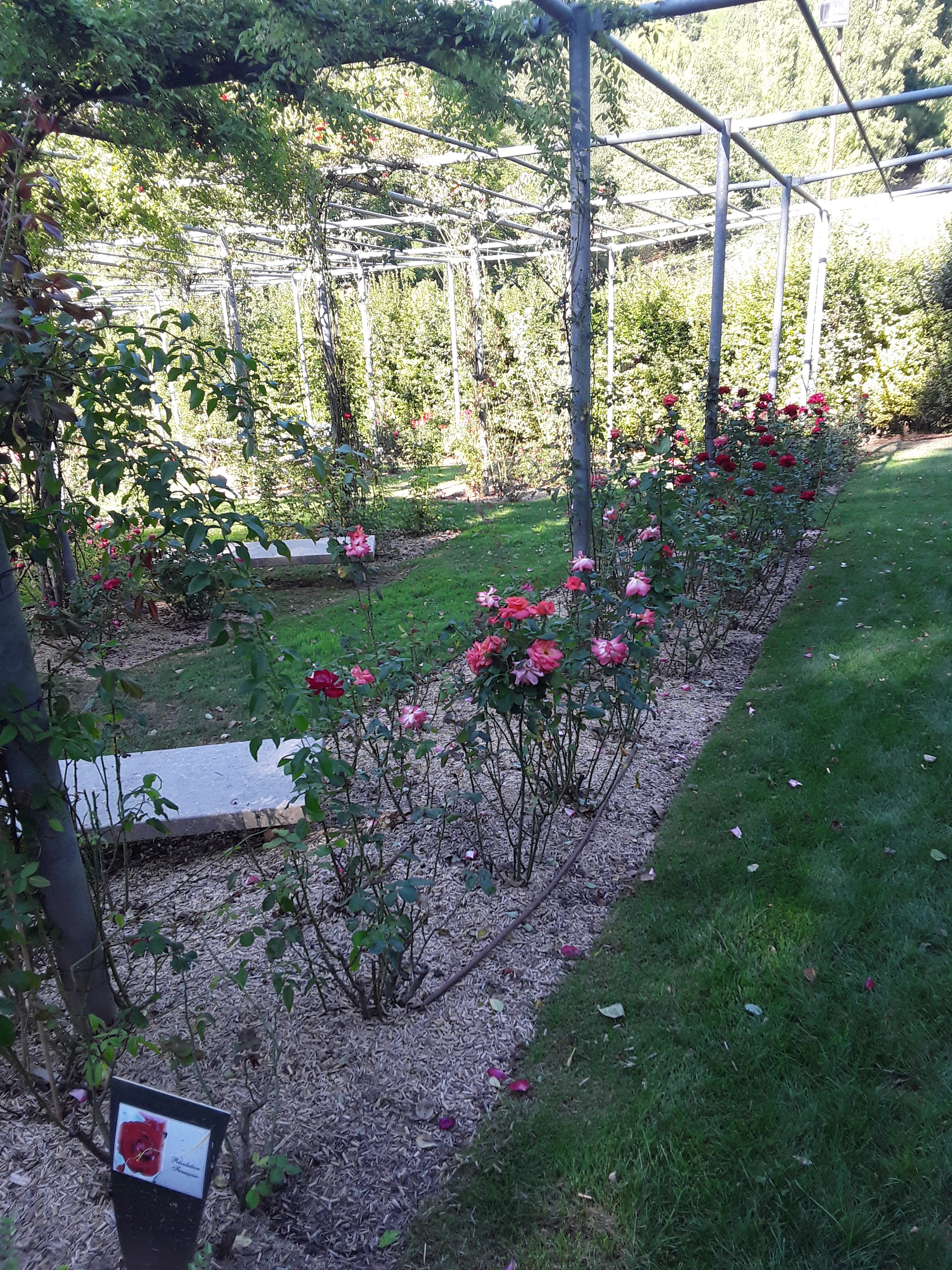 Photo n° 29 de l'avis de Fabien.e fait le 02/09/2019 à 17:51