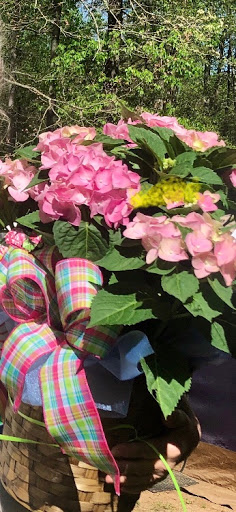 Florist «Powdersville Wren Florist», reviews and photos, 3320 SC-153, Piedmont, SC 29673, USA