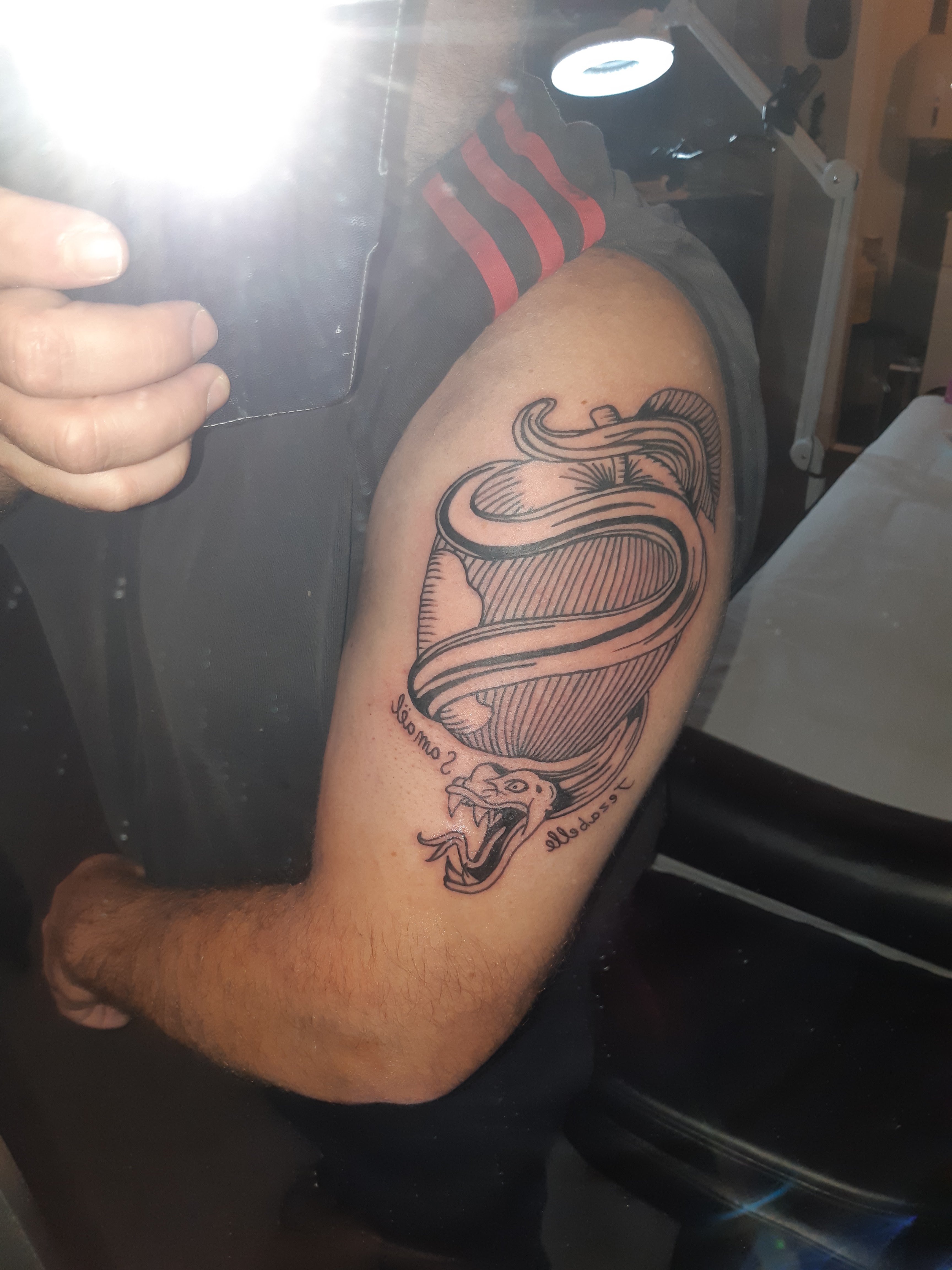 Photo n° 2 de l'avis de anthony.r fait le 21/03/2019 à 12:25