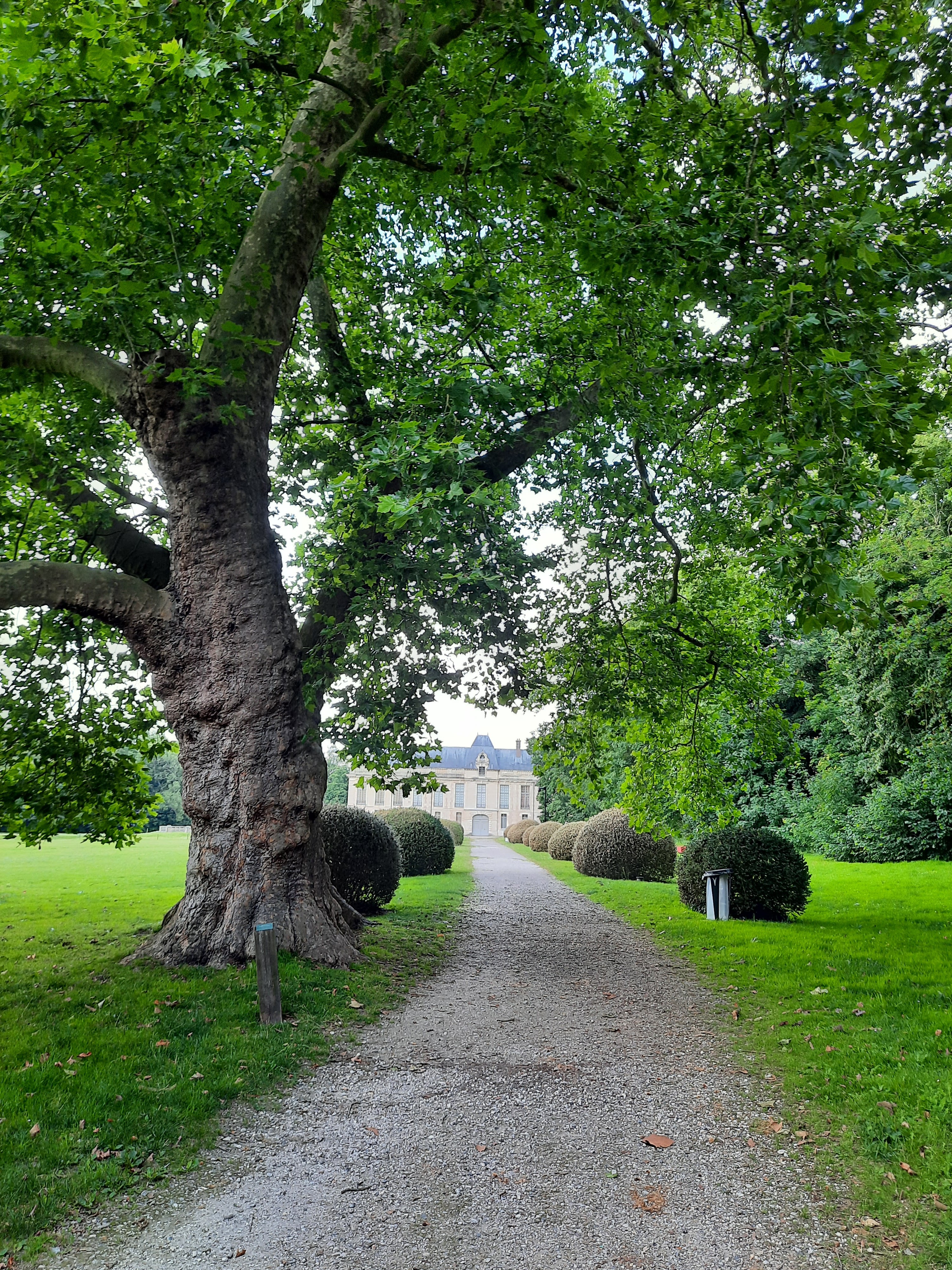 Photo n° 3 de l'avis de Valerie.e fait le 06/08/2021 à 19:15