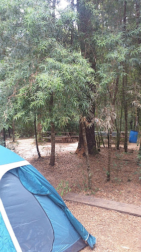 Opiniones de Camping La islita puente iñaque en Máfil - Camping
