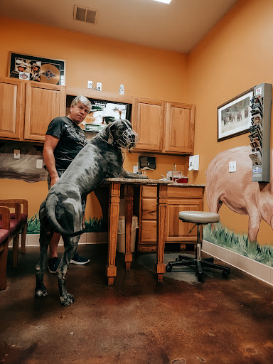 Dade City Animal Clinic