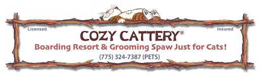 Cozy Cattery Cat Boarding & Cat Grooming Spaw Just for Cats!