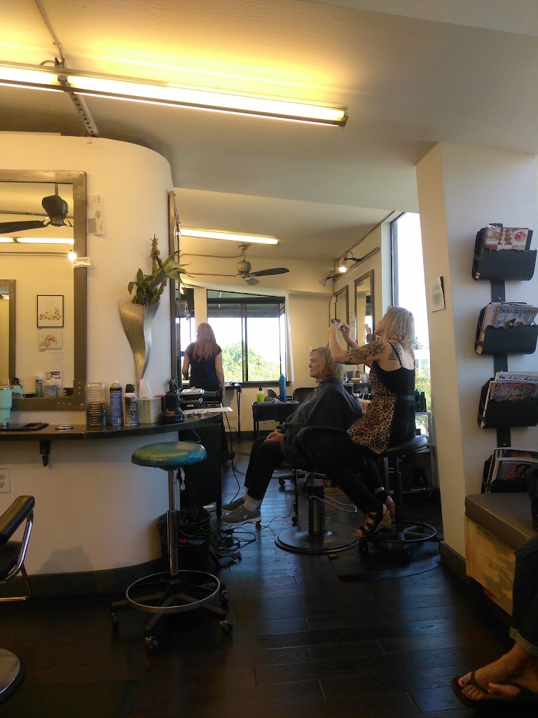 Peter Thomas Hair 94709
