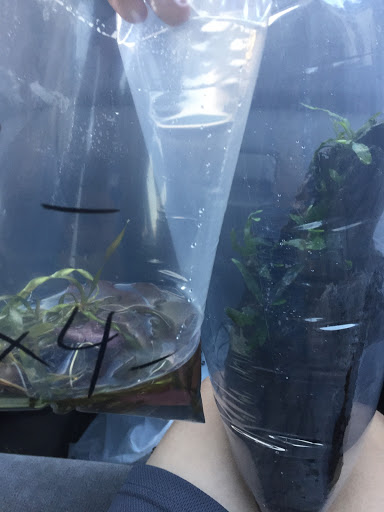 Pet Store «Aqualand Pets Plus», reviews and photos, 3600 6th Ave, Des Moines, IA 50313, USA