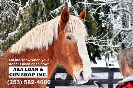 Pawn Shop «AAA Loan & Gun Shop Inc», reviews and photos, 12831 Pacific Hwy SW, Lakewood, WA 98499, USA