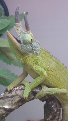 Pet Supply Store «Pet Supplies Plus», reviews and photos, 912 S Green River Rd a, Evansville, IN 47715, USA