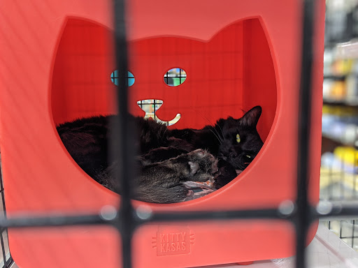 Pet Supply Store «Pet Supermarket, Inc.», reviews and photos, 1052 Peachtree Industrial Blvd, Suwanee, GA 30024, USA