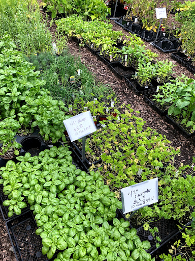 Garden Center «Stonewall Garden Center», reviews and photos, 4675 PA-447, Canadensis, PA 18325, USA