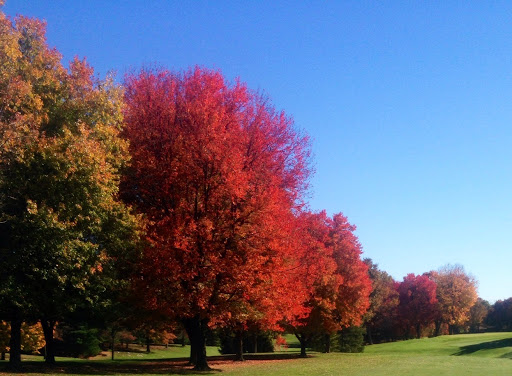 Wedding Venue «Fountain Head Country Club», reviews and photos, 13316 Fountain Head Rd, Hagerstown, MD 21742, USA