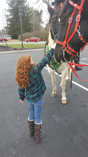 Home Goods Store «Real Deals On Home Decor», reviews and photos, 75 Westgate Dr NE, Newark, OH 43055, USA