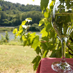 Photo n°2 de l'avis de Angelika.e fait le 06/07/2019 à 14:08 sur le  Insel-Restaurant Ferieninsel Winningen à Winningen