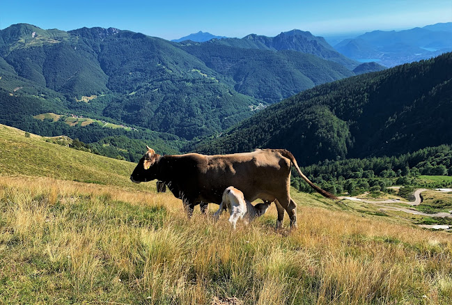 Alpe Pietrarossa - Lugano