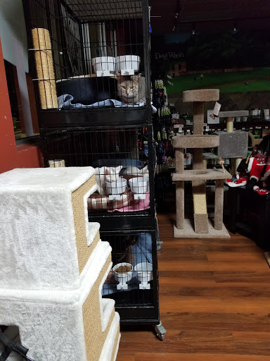 Pet Store «Pet Valu», reviews and photos, 644 E Main St, Waynesboro, PA 17268, USA