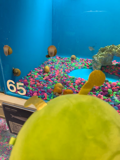 Pet Supply Store «PetSmart», reviews and photos, 2017 N Prospect Ave, Champaign, IL 61822, USA