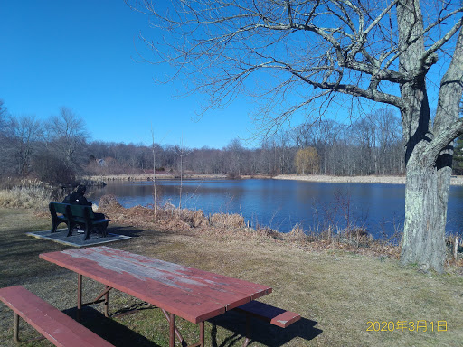 Shopping Mall «General Green Shopping Center», reviews and photos, 203 Morris Ave, Springfield Township, NJ 07081, USA