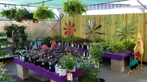 Hardware Store «Scholze Ace Home Center», reviews and photos, 133 County Rd A, Black River Falls, WI 54615, USA