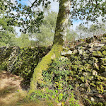 Photo n° 33 de l'avis de Florence. fait le 24/11/2021 à 20:37 pour Camp de Bierre à Merri