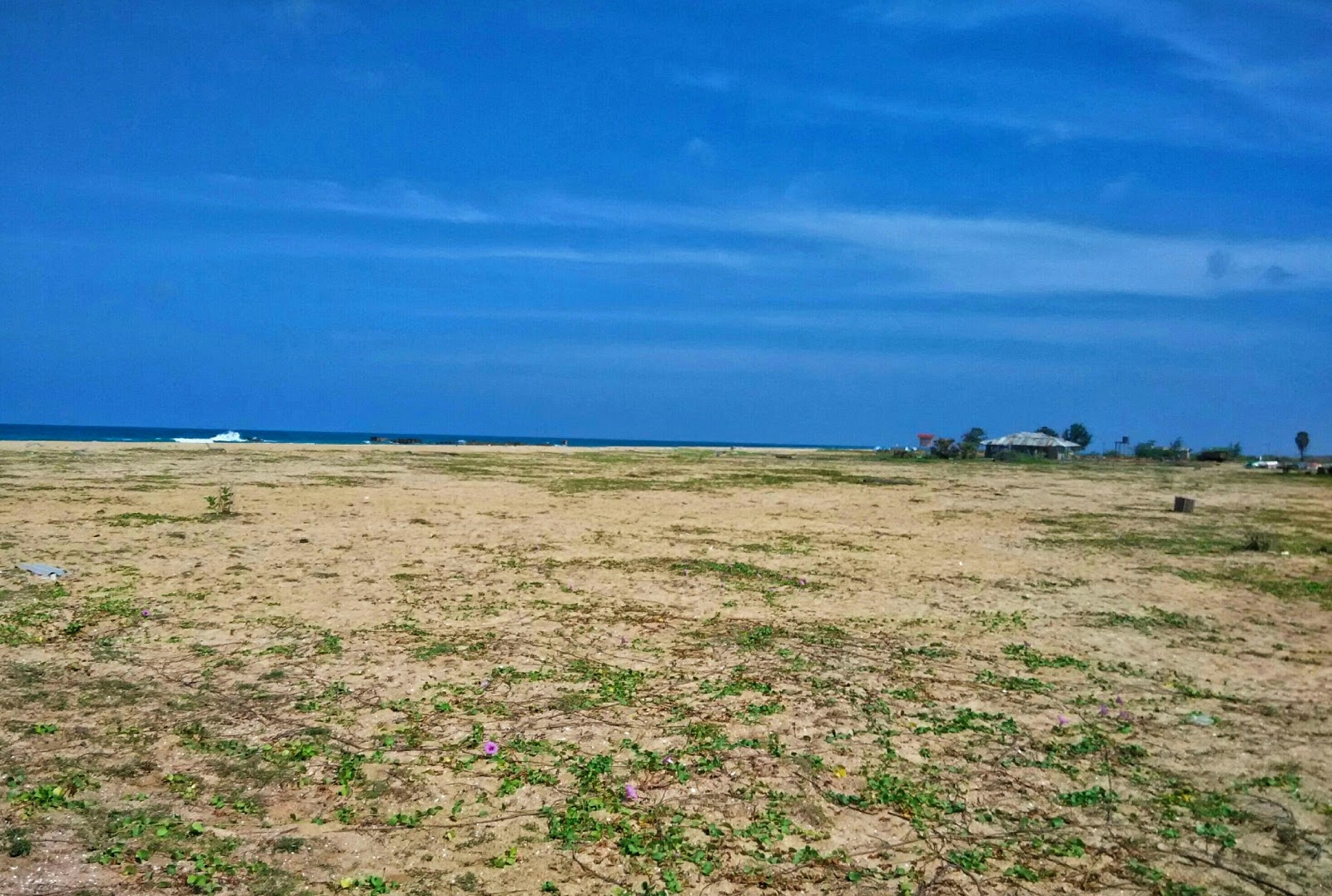 Karaiyamullivaikkal Beach'in fotoğrafı vahşi alan