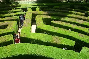 Labyrinth of Villa Pisani image