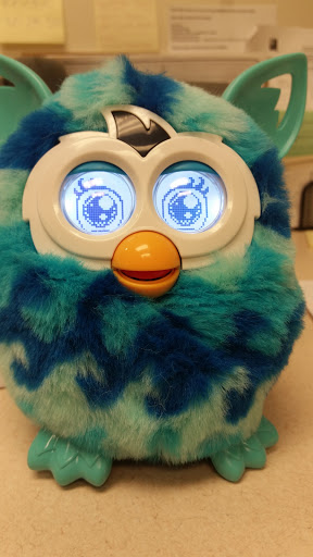 Non-Profit Organization «Goodwill Store», reviews and photos, 1528 Bush Ln, Crawfordsville, IN 47933, USA